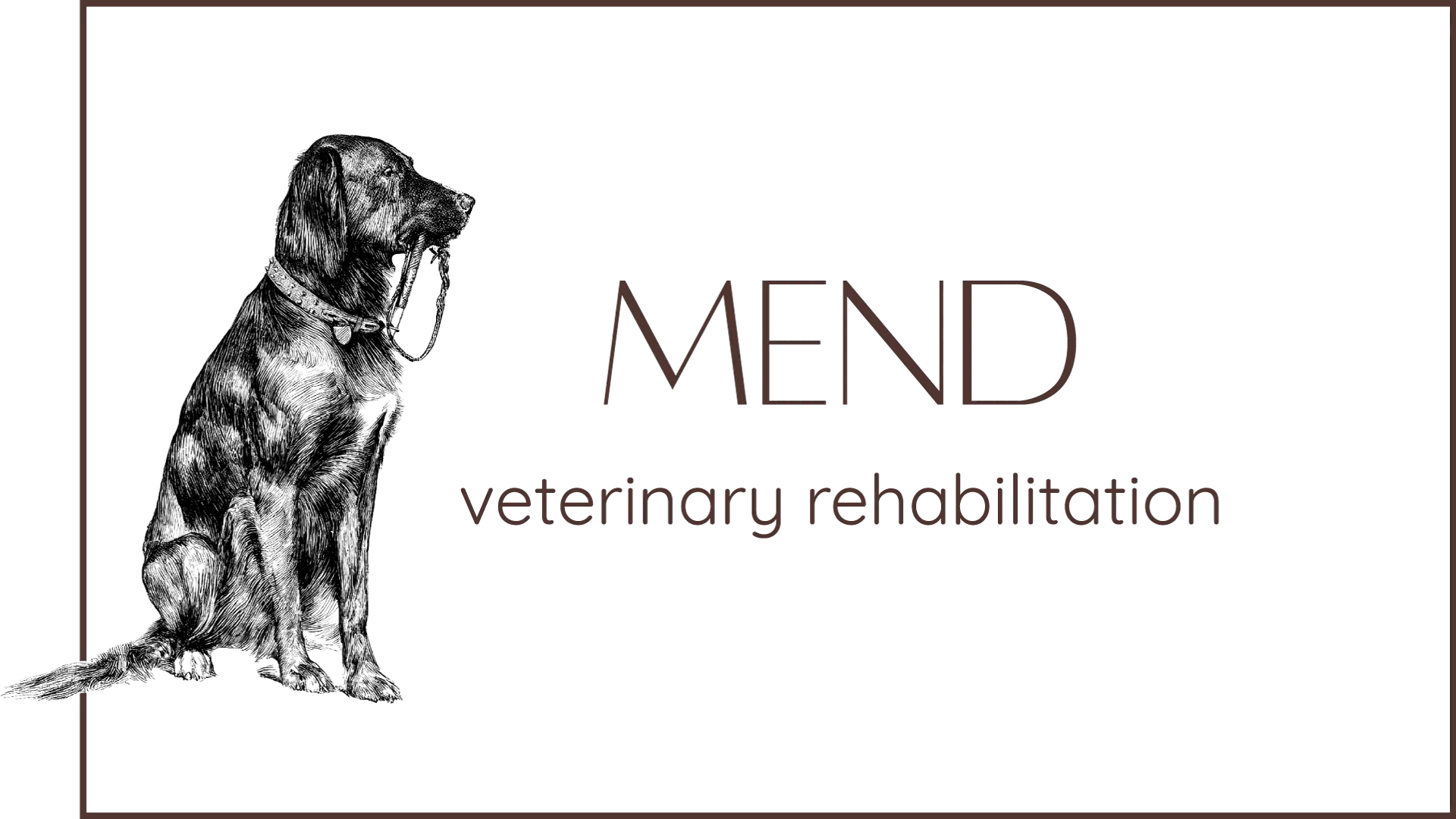 Mend Veterinary Rehabilitation Animal Physio